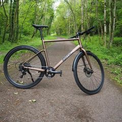 Bike BMC Alpenchallenge Two +Abus Granit XL Lock