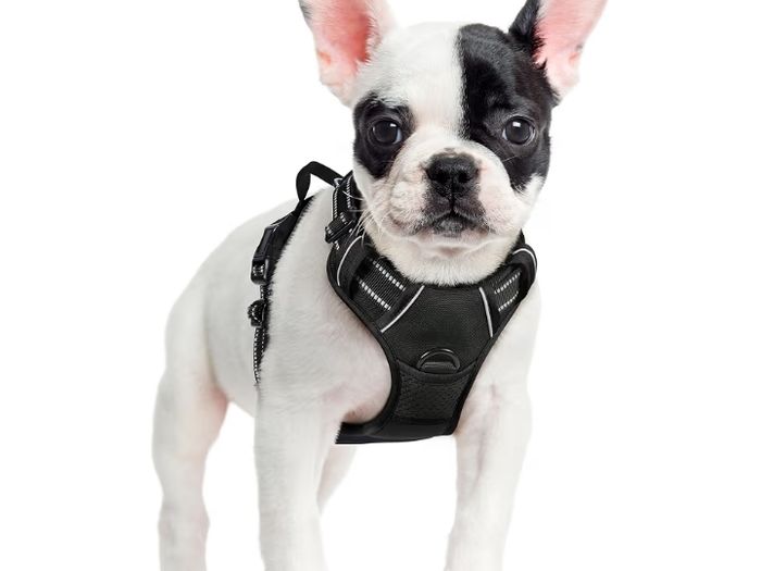 Dog Harness Small Dog, No Pull Vest with Front Clip & Handle