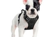 Dog Harness Small Dog, No Pull Vest with Front Clip &amp; Handle