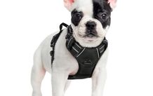 Dog Harness Small Dog, No Pull Vest with Front Clip & Handle