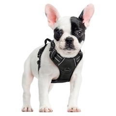 Dog Harness Small Dog, No Pull Vest with Front Clip & Handle