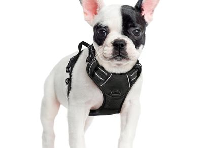 Dog Harness Small Dog, No Pull Vest with Front Clip & Handle