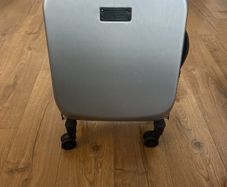 mountain buggy skyrider travel case