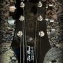EPIPHONE Slash AFD Les Paul Special II Guitar Image 7