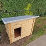 Dog kennel Image 3