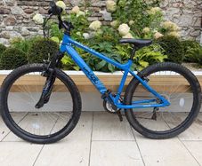 Apollo Mountain Bike