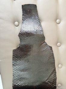 Snake Skin