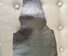 Snake Skin