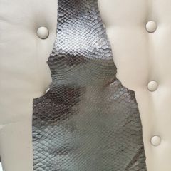 Snake Skin