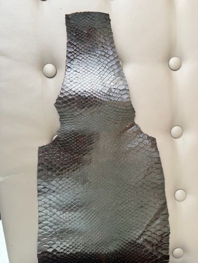 Snake Skin