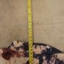 Ralph Lauren Floral Party Dress Ladies UK12 Image 8
