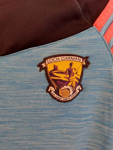 wexford gaa jersey
