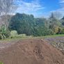 sand,stone,topsoil,pebble,gravel,stone Image 4