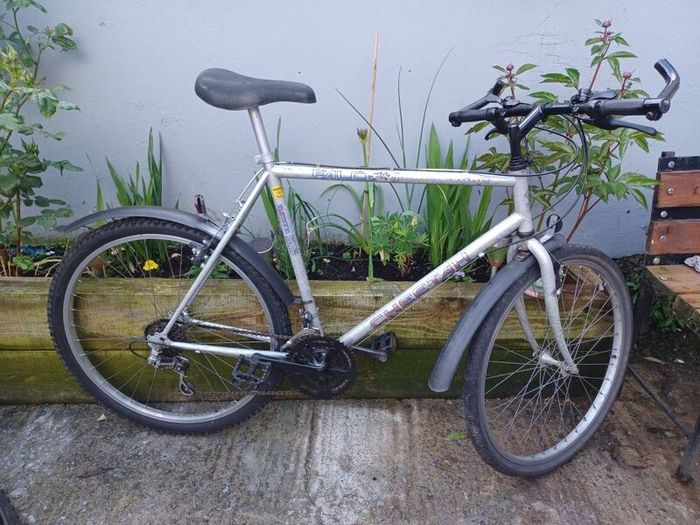 Falcon mens bike