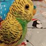 Bird Teddy's x 3, 2 budgies and a kingfisher Image 9