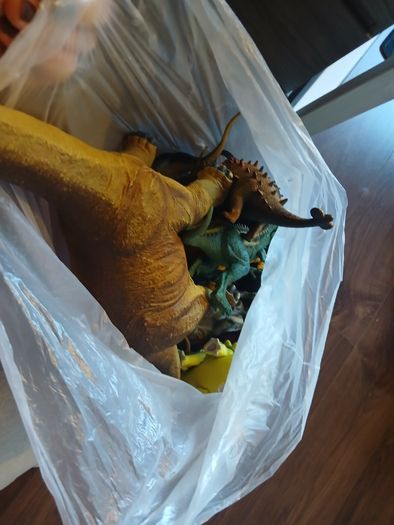 Dinosaurs