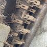 8 foot mulcher Image 6