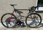 Merckx Corsa Extra Frameset ( size 55) - team Telekom colours