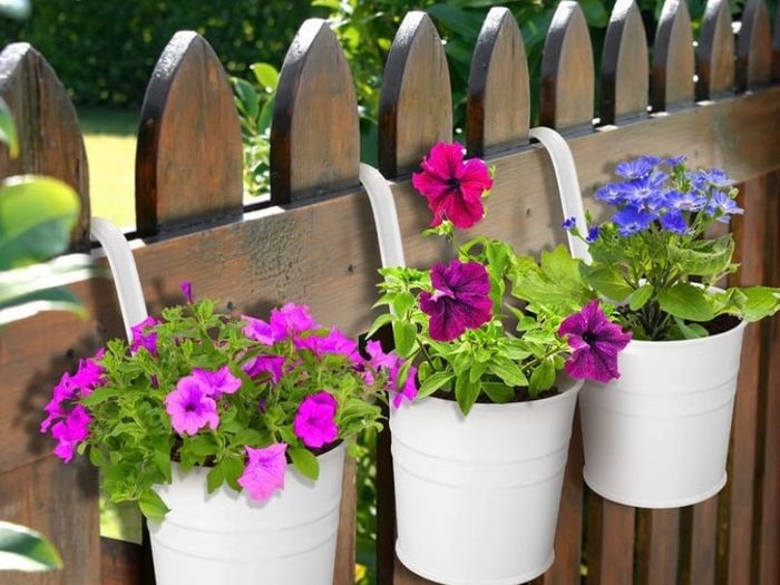 10Pack Metal Iron Hanging Flower Pots,Vase Hanging Balcony Garden Planter Holders With Detachable Handle and Drainage Hole, Outdoor Flower Pot For Fence Deck Balcony Garden Clay Home Decor (FREE POSTAGE)