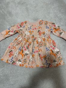 Next baby girl autumn dress size 9-12 m