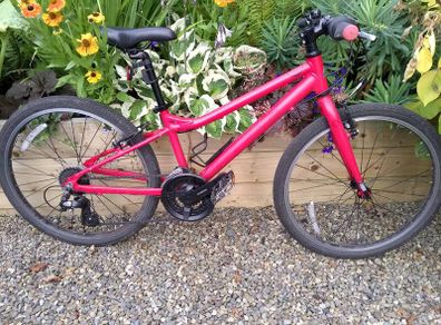 Carrera Saruna Junior (Kids bike 24")