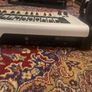 novation impulse 49 Image 2
