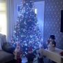 8ft Nebraska Christmas Tree Excellent Condition Image 4
