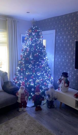 8ft Nebraska Christmas Tree Excellent Condition