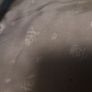 suit jacket Image 4