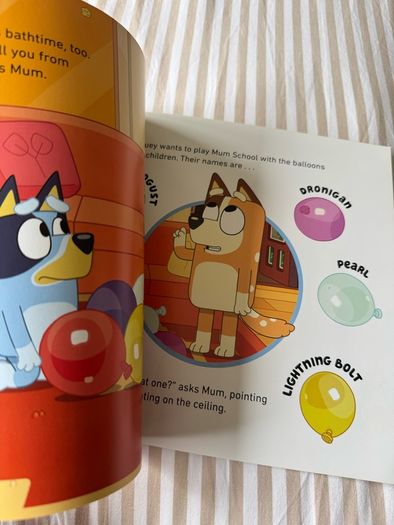 Bluey kids book bundle