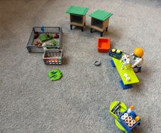 Playmobil vet and animal set