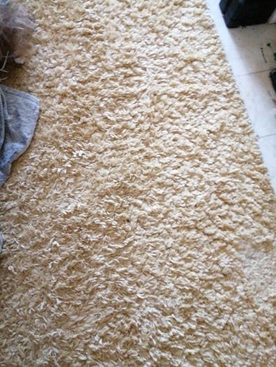 rug