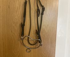 Chifeny bit and halter