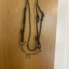 Chifeny bit and halter
