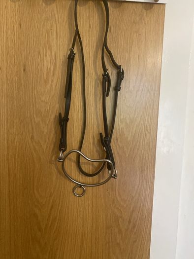 Chifeny bit and halter