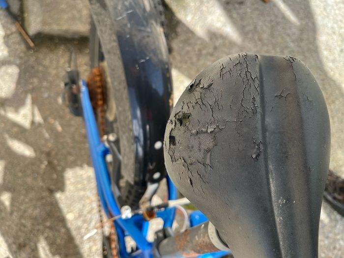 Trek bike