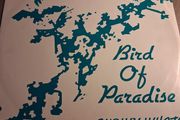 Snowy White - Bird of Paradise - 12" single