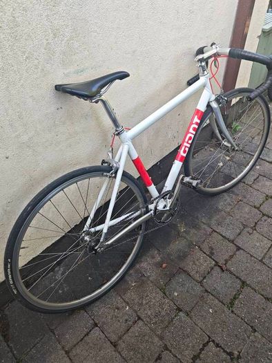 Giant Fixie Medium