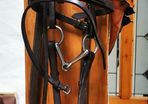 Pony Bridle with Reins and Bit