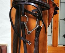 Pony Bridle with Reins and Bit