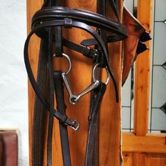 Pony Bridle with Reins and Bit