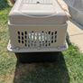 dog carrier Image 3