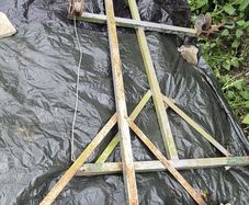outdoor clothes line
