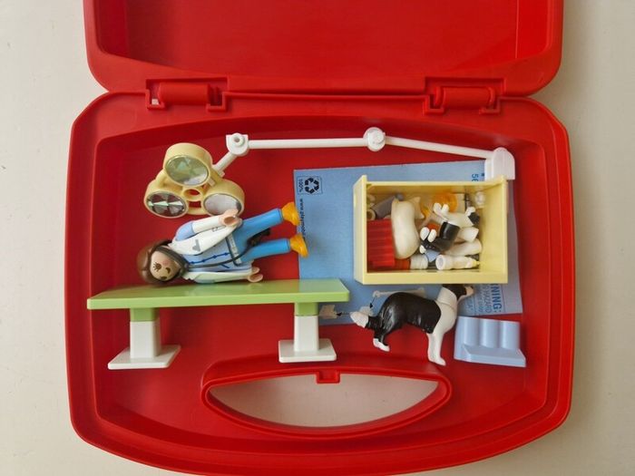 Playmobil  Vet Carry Case