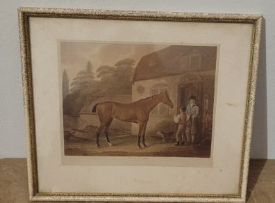 Antique "Eleanor" equine print