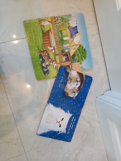 Dogs and Cats books