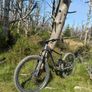Giant Reign 2 Mountain Bike Image 2