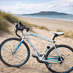 speed bike carrera