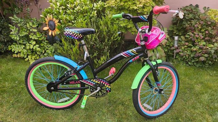 20 Inch Smyths Milan Bike