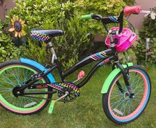 20 Inch Smyths Milan Bike